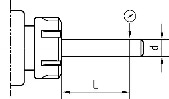 555.jpg